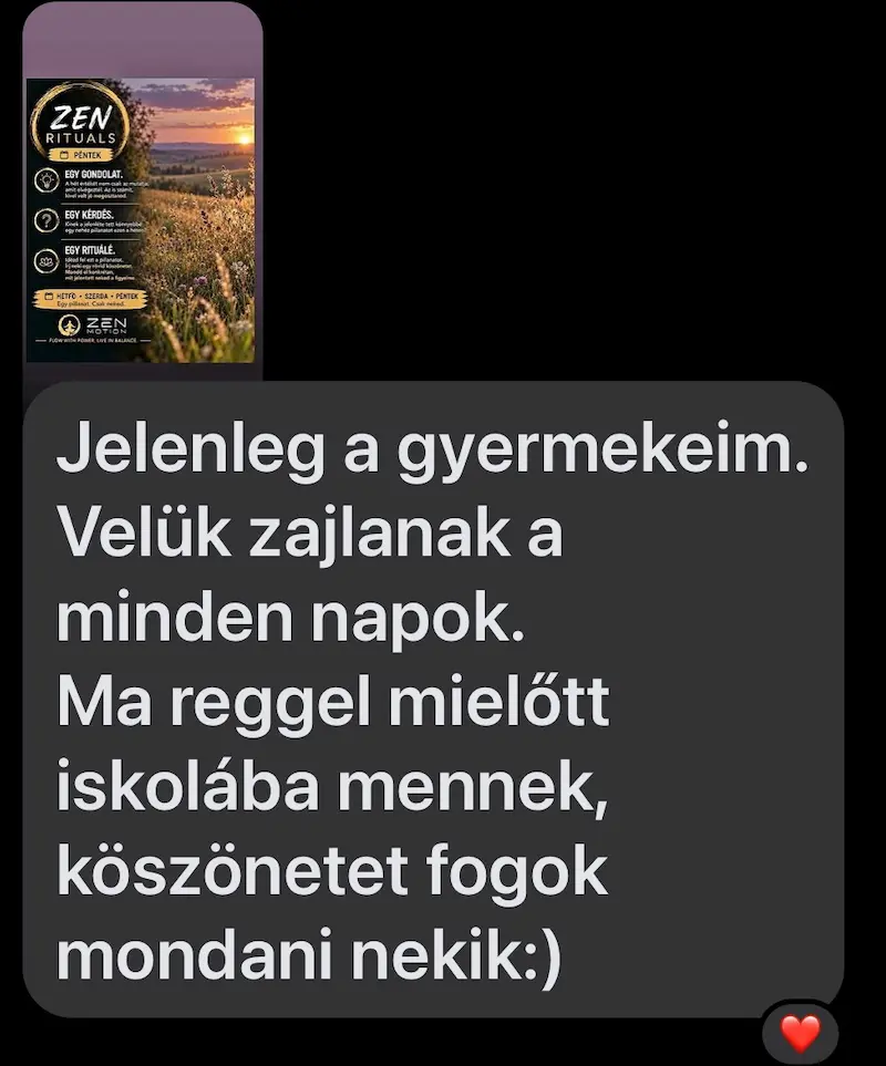 Vendégvélemény 10
