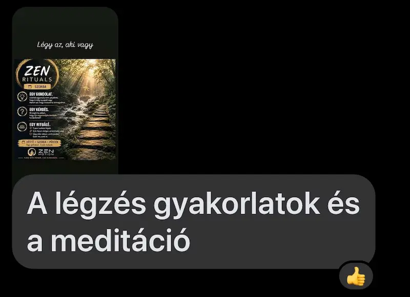 Vendégvélemény 5
