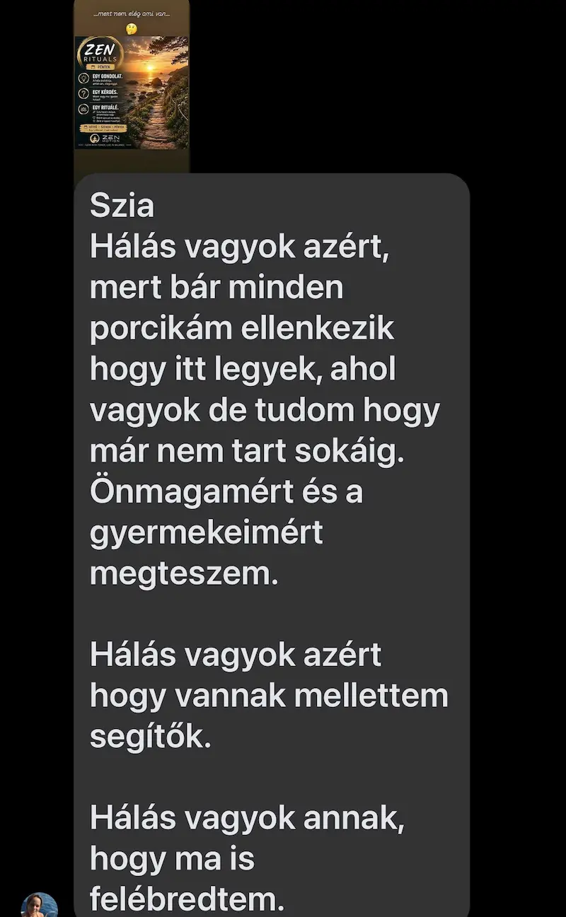 Vendégvélemény 6