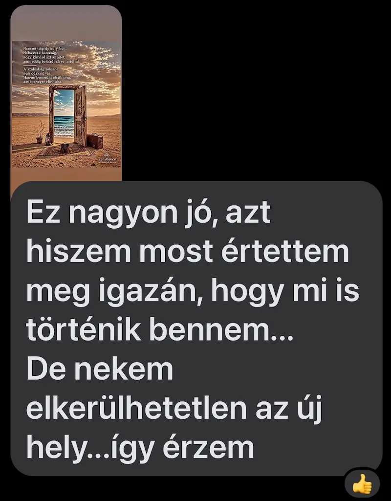 Vendégvélemény 9
